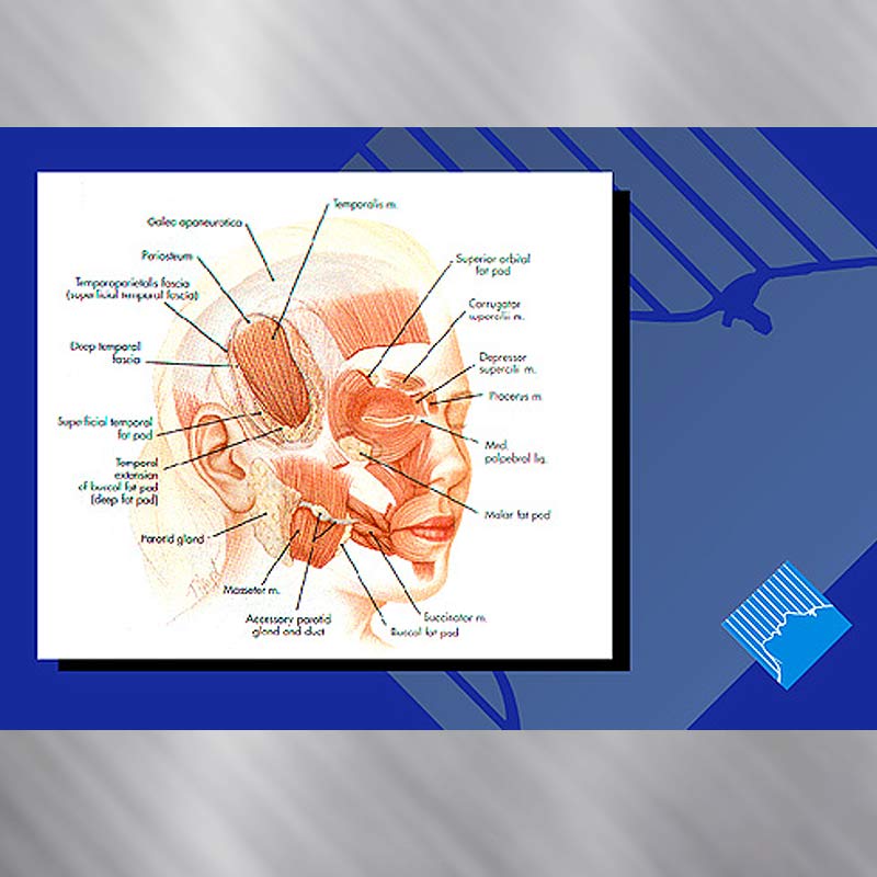 Medical Presentation Design Service EFX Marketing