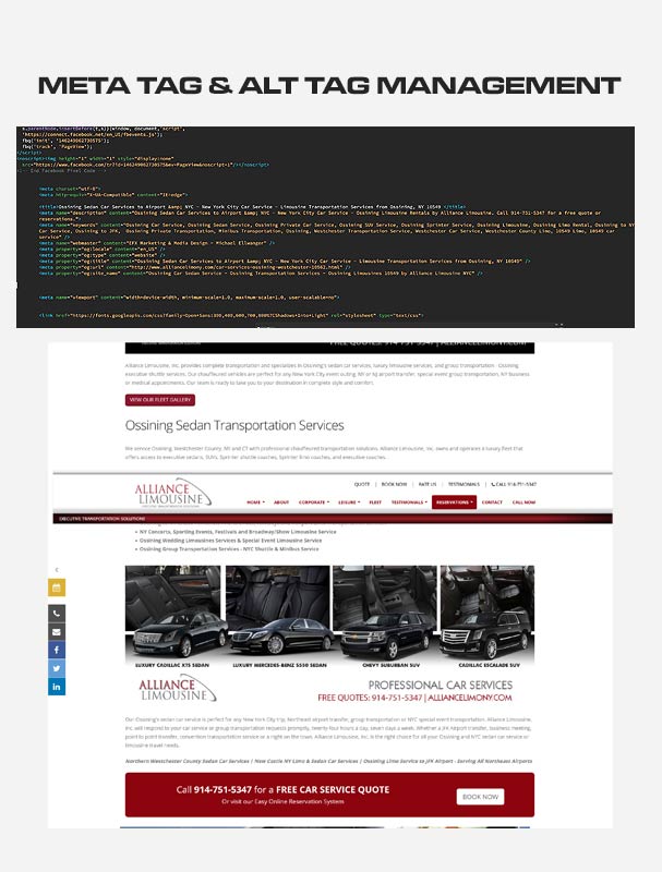 Business Website ALT Tag and META Tag SEO Services