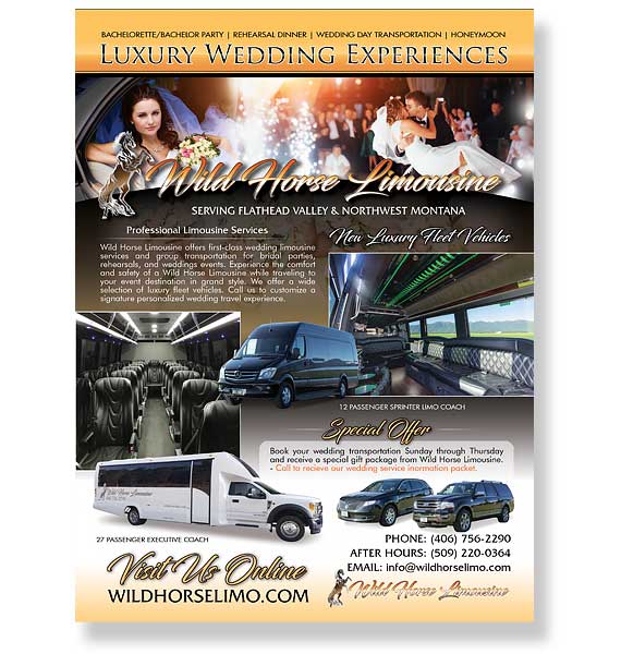 Limo Ad Design Service by EFX Marketing