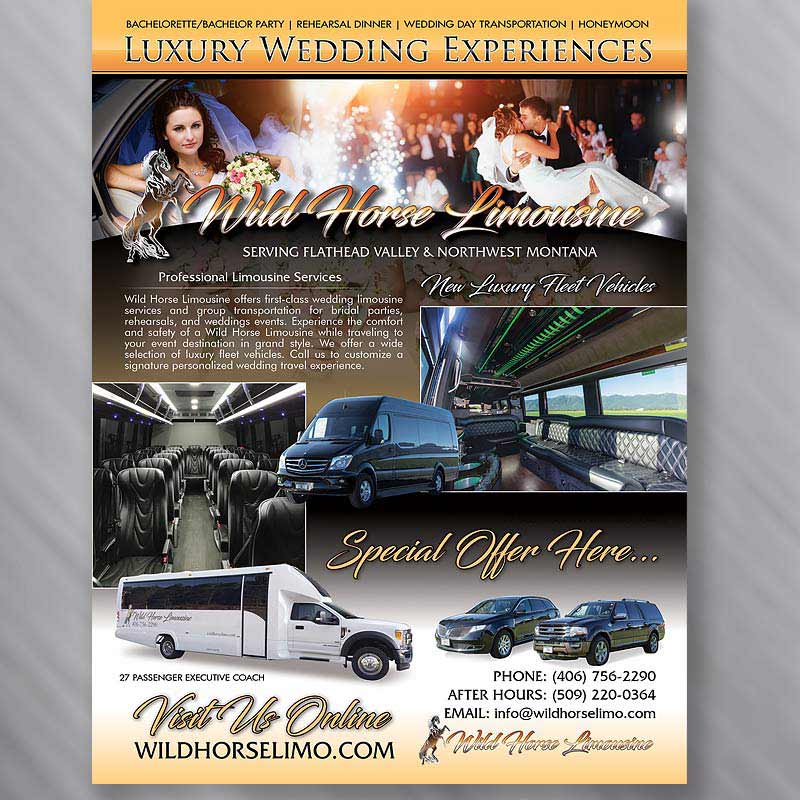 Limo Ad Design Service EFX Marketing